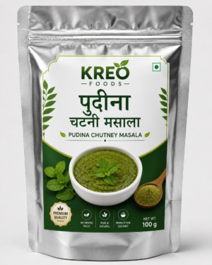 PUDINA CHUTNEY MASALA 100 GM PACK